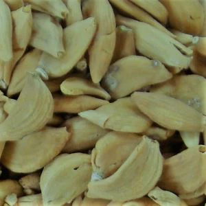 Alho Orgânico Jinxiang ganhou outro prêmio