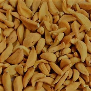 Cabeça de Alho Assado